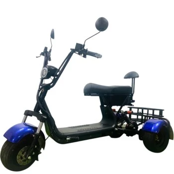 Электроскутер Citycoco GT X3 Pro Trike Mini Синий