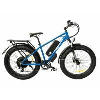 Электровелосипед Elbike Phantom Elite Синий